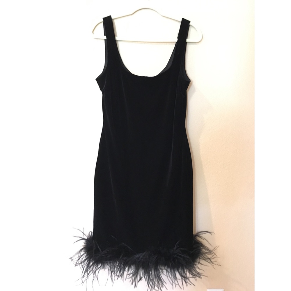 Beautiful Velvet & Feather Gown